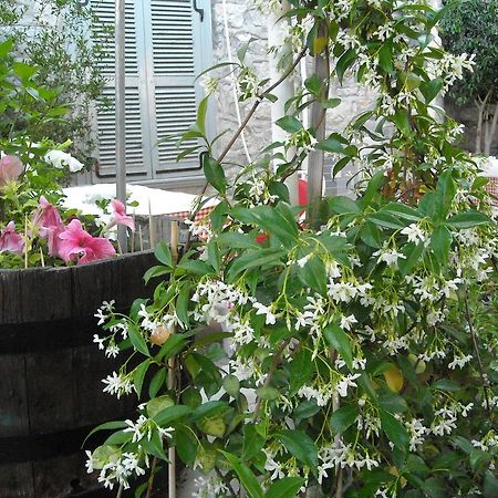 Theano Guesthouse هيدرا المظهر الخارجي الصورة