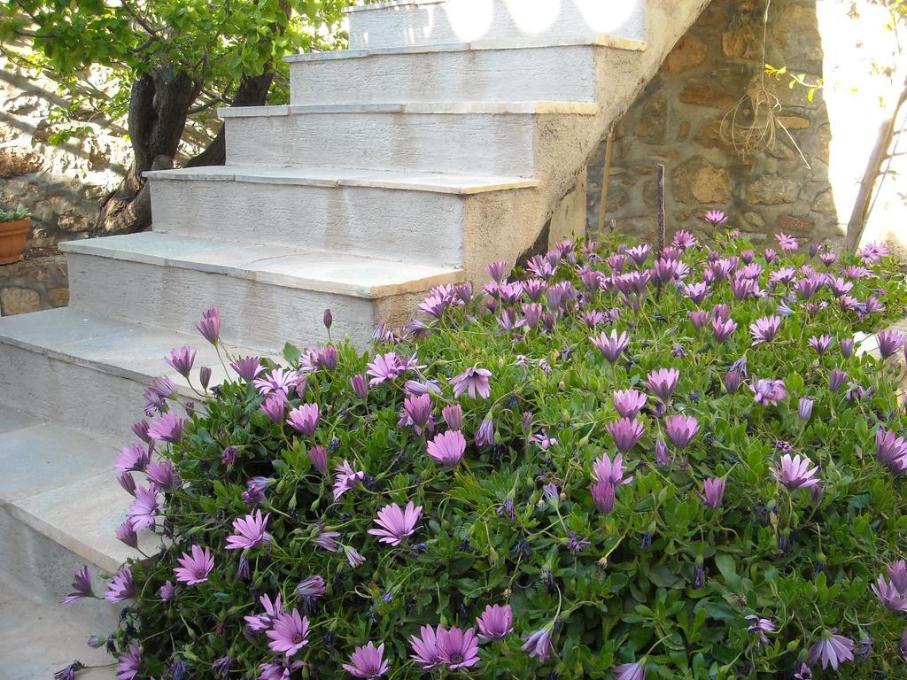 Theano Guesthouse هيدرا المظهر الخارجي الصورة