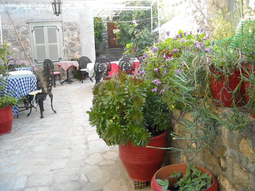 Theano Guesthouse هيدرا المظهر الخارجي الصورة